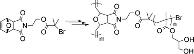 Graphical abstract: Synthesis of graft copolymers from α-oxanorbornenyl macromonomers