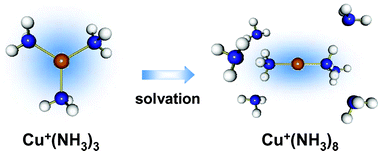 Graphical abstract: Coordination and solvation of copper ion: infrared photodissociation spectroscopy of Cu+(NH3)n (n = 3–8)