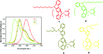 Graphical abstract: Improving the performance of phosphorescent polymer light-emitting diodes using morphology-stable carbazole-based iridium complexes