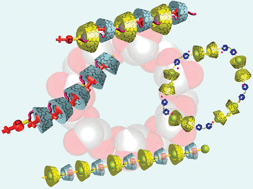 Graphical abstract: Cyclodextrin-based supramolecular polymers