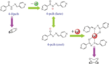 Graphical abstract: pH-Induced formation of metalloligand: increasing structure dimensionality by tuning number of ligand functional sites