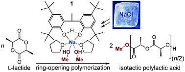 Graphical abstract: Efficient and controlled polymerization of lactide under mild conditions with a sodium-based catalyst