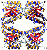 Graphical abstract: Inhibition of lysine biosynthesis: an evolving antibiotic strategy