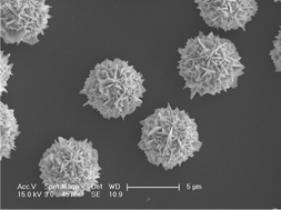 Graphical abstract: Templateless, surfactantless, simple electrochemical route to rapid synthesis of diameter-controlled 3D flowerlike gold microstructure with “clean” surface