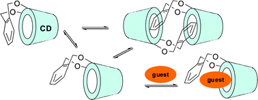 Graphical abstract: One-pot regioselective synthesis of 2I,3I-O-(o-xylylene)-capped cyclomaltooligosaccharides: tailoring the topology and supramolecular properties of cyclodextrins