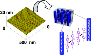 Graphical abstract: Stable macroscopic nanocylinder arrays in an amphiphilic diblock liquid-crystalline copolymer with successive hydrogen bonds