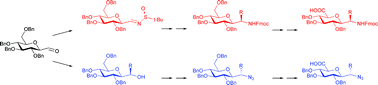 Graphical abstract: Synthesis of alkylated sugar amino acids: conformationally restricted l-Xaa-l-Ser/Thr mimics