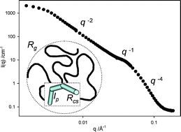 Graphical abstract: Wormlike micelles: where do we stand? Recent developments, linear rheology and scattering techniques