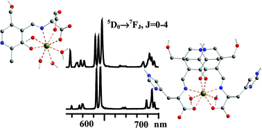 Graphical abstract: Luminescence and structural properties of lanthanide complexes of Schiff bases derived from pyridoxal and amino acids