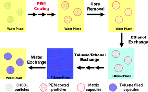 Graphical abstract: Solvent-filled matrix polyelectrolyte capsules: preparation, structure and dynamics