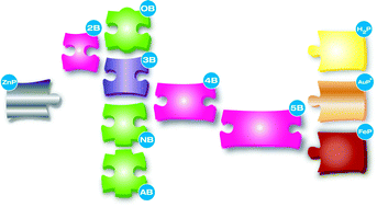 Graphical abstract: Electron and energy transfer in donor–acceptor systems with conjugated molecular bridges