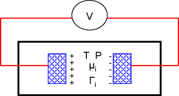 Graphical abstract: Are electrostatic potentials between regions of different chemical composition measurable? The Gibbs–Guggenheim principle reconsidered, extended and its consequences revisited