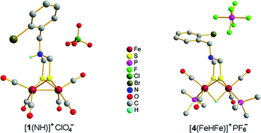 Graphical abstract: Protonation, electrochemical properties and molecular structures of halogen-functionalized diiron azadithiolate complexes related to the active site of iron-only hydrogenases