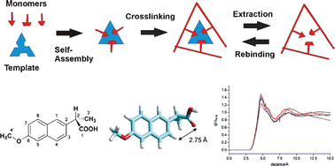 Graphical abstract: Correlated theoretical, spectroscopic and X-ray crystallographic studies of a non-covalent molecularly imprinted polymerisation system