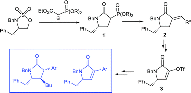 Graphical abstract: Reactivity of cyclic sulfamidates towards phosphonate-stabilised enolates: synthesis and applications of α-phosphono lactams