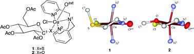 Graphical abstract: Asymmetric sulfur atom coordination in a copper(ii) dipicolylamine (DPA) complex with a thioglycoside ligand