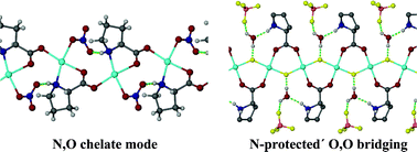 Graphical abstract: Homochiral H-bonded proline based metal organic frameworks