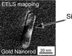 Graphical abstract: Surface modification of gold nanorods with synthetic cationic lipids