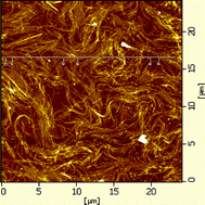 Graphical abstract: Fabrication of densely packed multi-walled carbon nanotube ultrathin films using a liquid–liquid interface