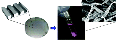 Graphical abstract: A replica molding technique for producing fibrous chitosan scaffolds for cartilage engineering