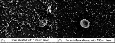 Graphical abstract: Physical and chemical characteristics of particles produced by laser ablation of biogenic calcium carbonate