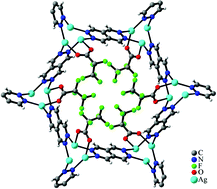 Graphical abstract: Silver(i) ions bridged by pyridazine: doubling the ligand functionality for the design of unusual 3D coordination frameworks