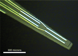 Graphical abstract: Selective detection of extracellularglutamate in brain tissue using microelectrode arrays coated with over-oxidized polypyrrole