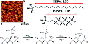 Graphical abstract: Modification of BaTiO3 thin films: adjustment of the effective surface work function