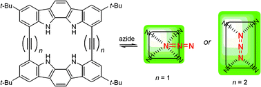 Graphical abstract: Two distinct anion-binding modes and their relative stabilities