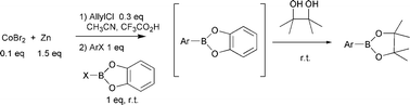 Graphical abstract: A novel transmetallation of arylzinc species into arylboronates from aryl halides in a barbier procedure