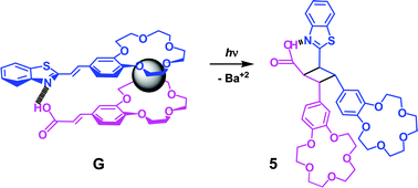 Graphical abstract: Supramolecular photochemical synthesis of an unsymmetrical cyclobutane