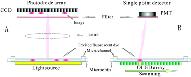 Graphical abstract: Whole column fluorescence imaging on a microchip by using a programmed organic light emitting diode array as a spatial-scanning light source and a single photomultiplier tube as detector