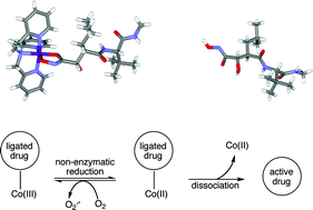Graphical abstract: Bioreductive activation and drug chaperoning in cobalt pharmaceuticals