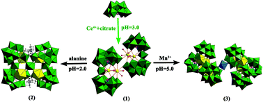 Graphical abstract: Building block approach to nanostructures: step-by-step assembly of large lanthanide-containing polytungstoarsenate aggregates