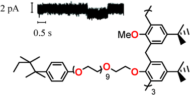 Graphical abstract: Artificial transmembraneion channels from commercial surfactants