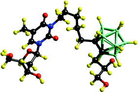 Graphical abstract: Carboranyl thymidine analogues for neutron capture therapy