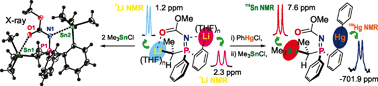 Graphical abstract: Cα,Cortho-Dimetalated phosphazene complexes