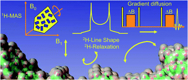 Graphical abstract: Structural and dynamical properties of guest molecules confined in mesoporous silica materials revealed by NMR