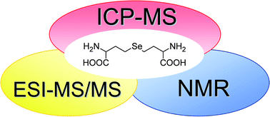 Graphical abstract: Identification of selenohomolanthionine in selenium-enriched Japanese pungent radish