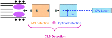 Graphical abstract: Coincidence laser spectroscopy (CLS) for the detection of ions in ICP-MS (ICP-MS-CLS). A feasibility study