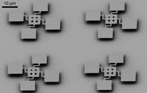 Graphical abstract: Micro- and nanomechanical sensors for environmental, chemical, and biological detection