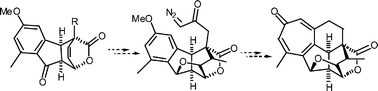 Graphical abstract: Model studies toward the synthesis of the bioactive diterpenoid, harringtonolide