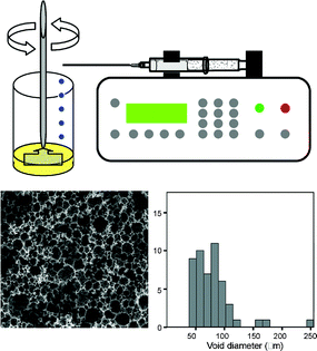 Graphical abstract: Emulsion-templated porous polymers as scaffolds for three dimensional cell culture: effect of synthesis parameters on scaffold formation and homogeneity