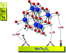 Graphical abstract: An aqueous route to [Ta6O19]8− and solid-state studies of isostructural niobium and tantalum oxide complexes