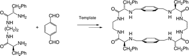 Graphical abstract: An experimental re-investigation of the role of aromatic–aromatic interactions in a templated synthesis of a macrocyclic pseudopeptide