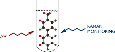 Graphical abstract: In situ Raman spectroscopy as a probe for the effect of power on microwave-promoted Suzuki coupling reactions