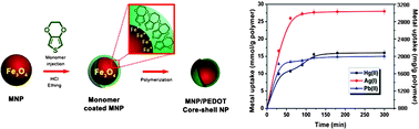 Graphical abstract: Thiol containing polymer encapsulated magnetic nanoparticles as reusable and efficiently separable adsorbent for heavy metal ions