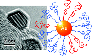 Graphical abstract: Recent advances in polymer protected gold nanoparticles: synthesis, properties and applications