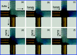 Graphical abstract: Micro-flow injection analysis system: on-chip sample preconcentration, injection and delivery using coupled monolithic electroosmotic pumps