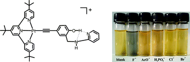 Graphical abstract: Photophysical and anion sensing properties of platinum(ii) terpyridyl complexes with phenolic ethynyl ligands